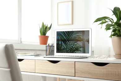 Photo of Houseplants and laptop on table in office interior