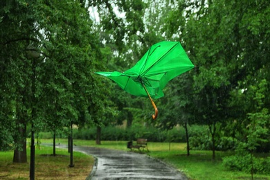Photo of Broken green umbrella in park on rainy day