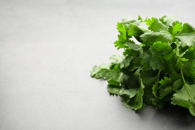 Photo of Bunch of fresh coriander on gray table, space for text