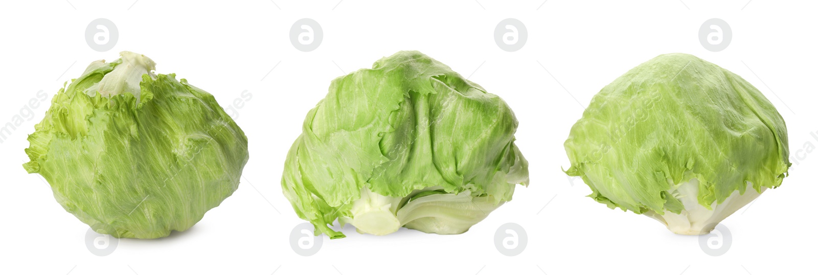 Image of Collage with fresh iceberg lettuce heads on white background