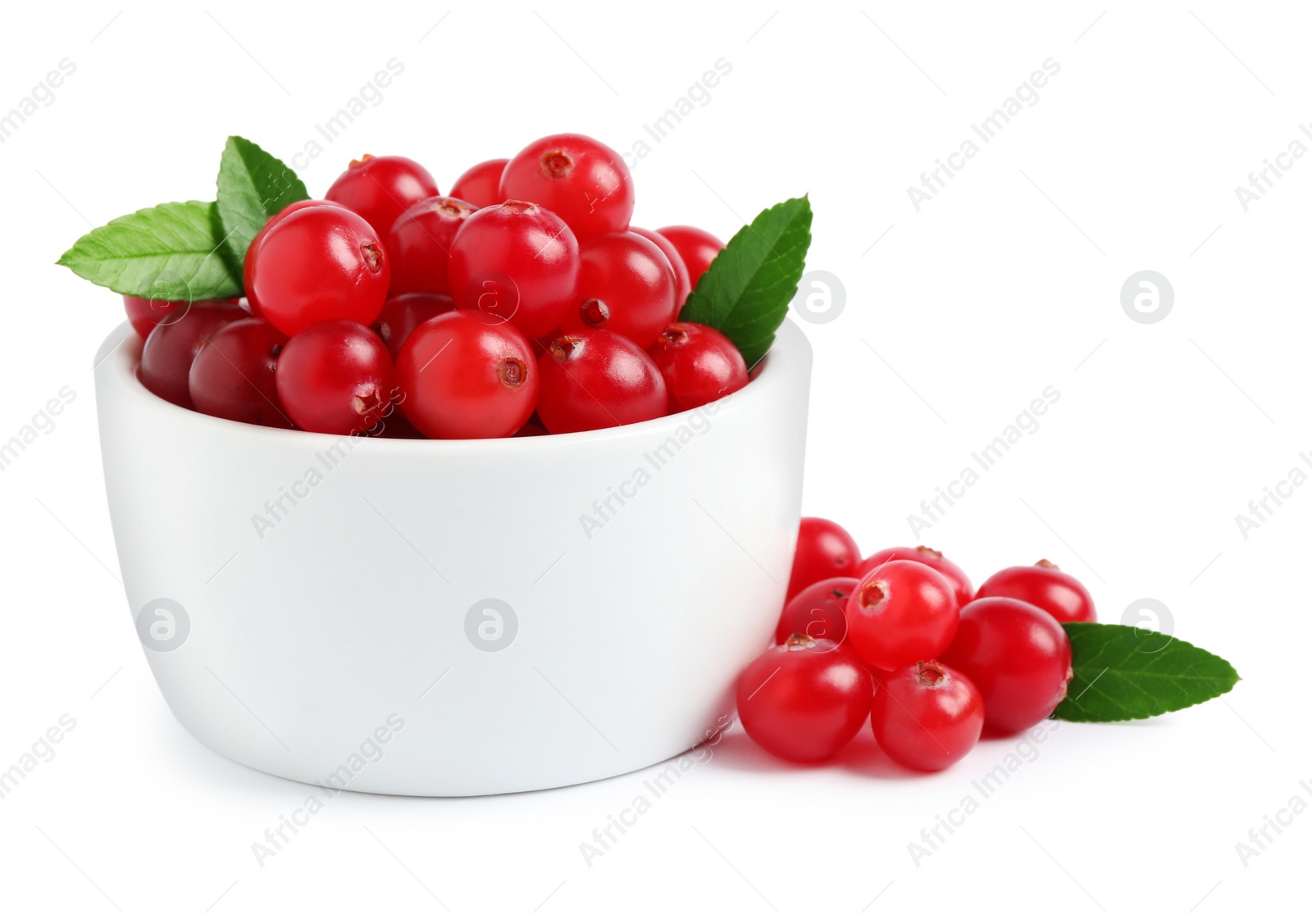 Photo of Fresh ripe cranberries with leaves on white background