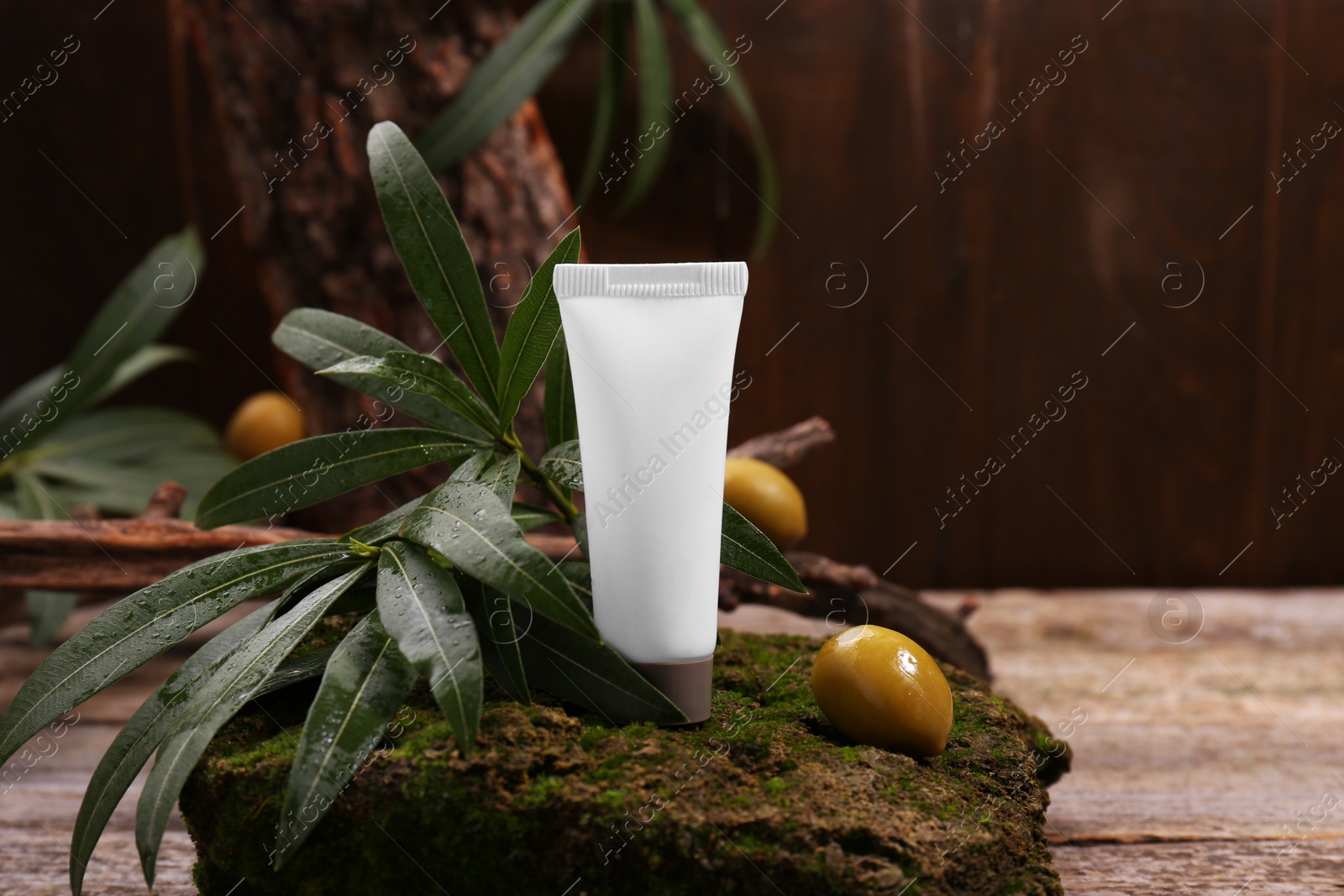 Photo of Tube of cream, olives and leaves on stone with moss