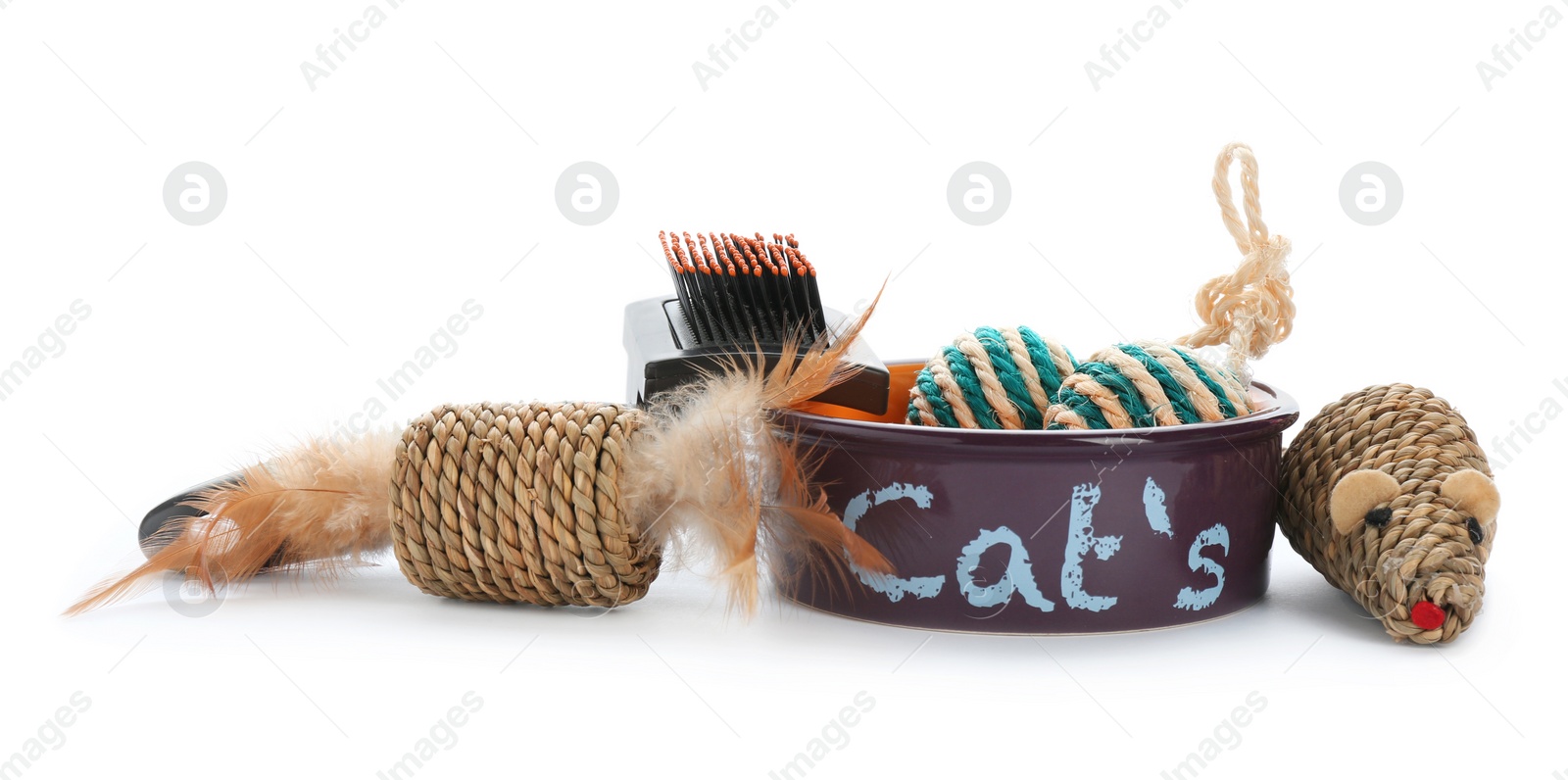 Photo of Cat's accessories on white background