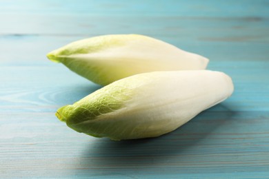 Photo of Fresh raw Belgian endives (chicory) on light blue wooden table
