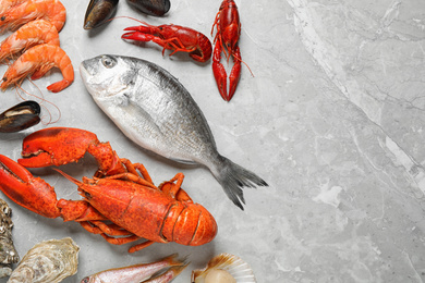 Photo of Fresh fish and seafood on marble table, flat lay. Space for text