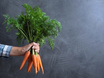 Woman holding ripe carrots on grey background, closeup. Space for text