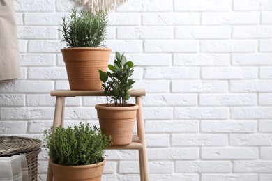 Photo of Different aromatic potted herbs near white brick wall indoors. Space for text