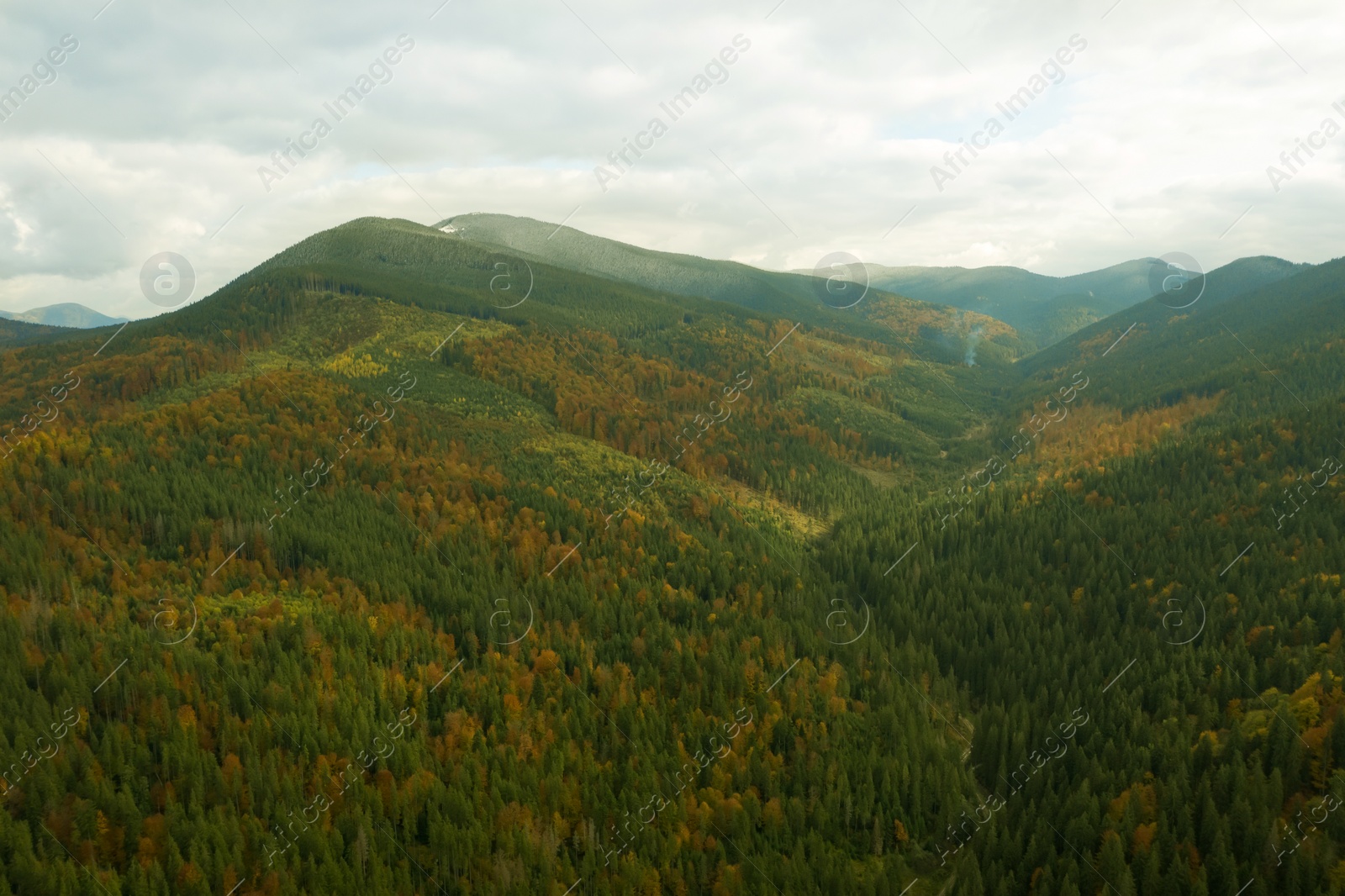 Image of Aerial view of beautiful forest in mountains on autumn day