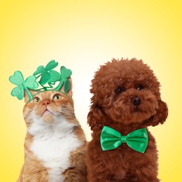 St. Patrick's day celebration. Cute dog with green bow tie and cat wearing headband with clover leaves on yellow background
