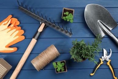 Photo of Gardening tools and plants on blue wooden background, flat lay