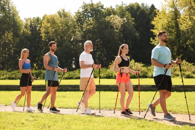 Group of people practicing Nordic walking with poles in park on sunny day