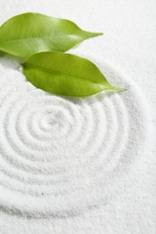 Photo of Zen rock garden. Circle pattern and green leaves on white sand