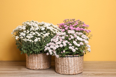 Photo of Beautiful fresh chrysanthemum flowers on wooden table against yellow background