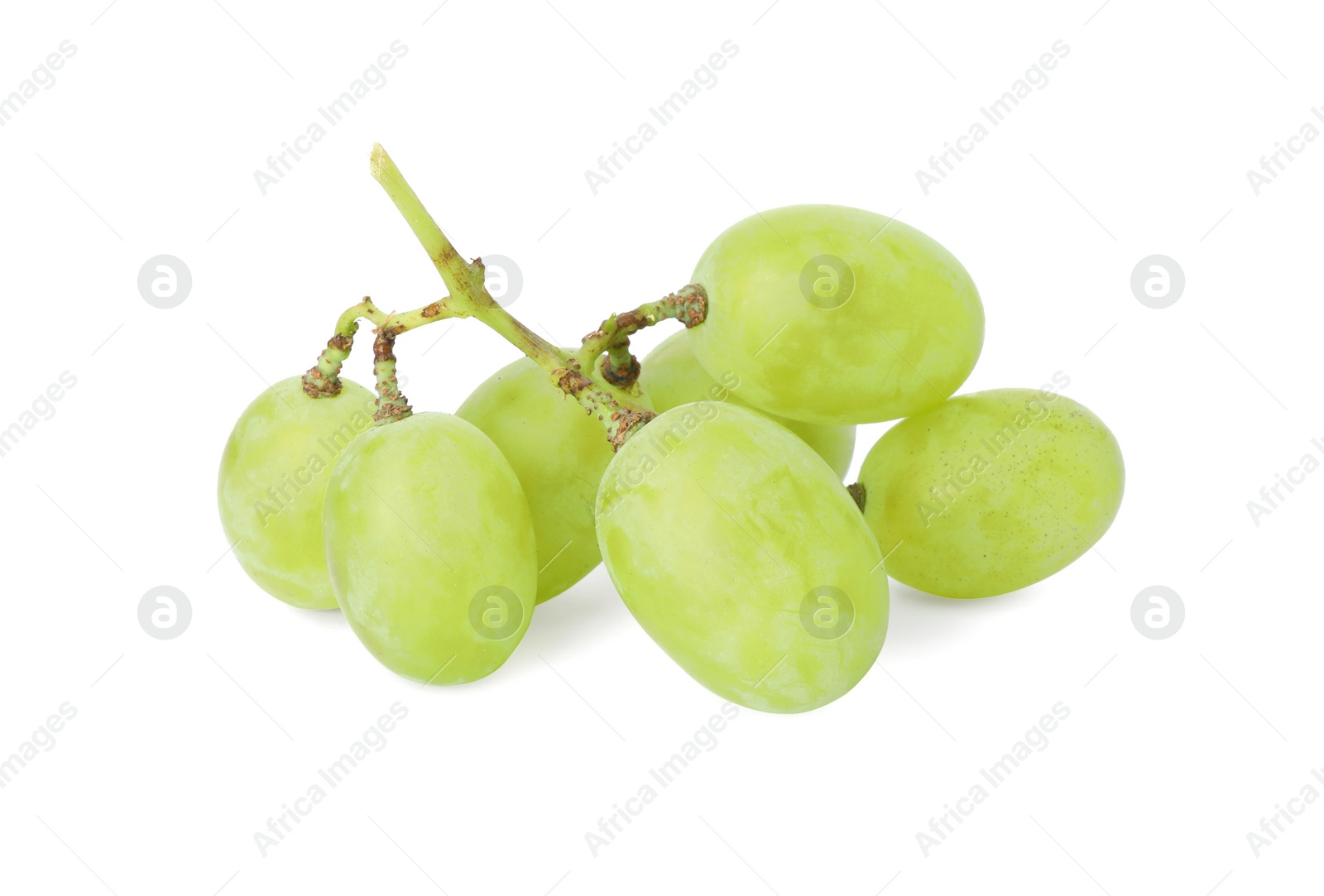 Photo of Fresh ripe juicy grapes isolated on white