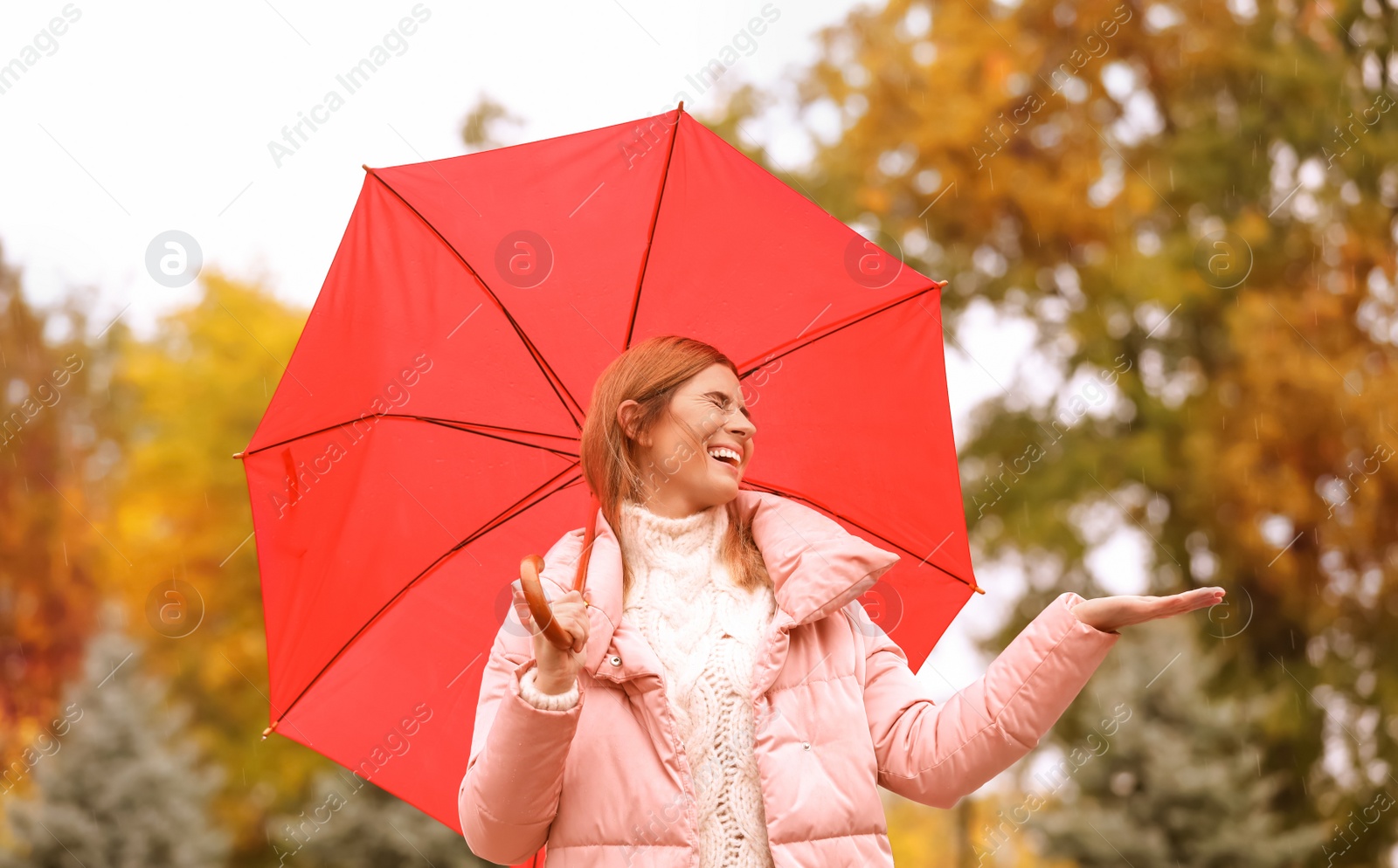 Photo of Woman with umbrella in autumn park on rainy day