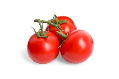 Photo of Branch of red ripe tomatoes isolated on white