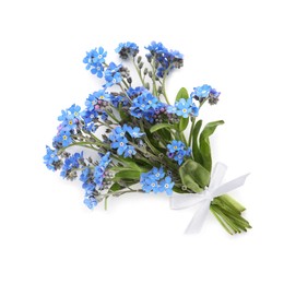 Photo of Bouquet of beautiful blue Forget-me-not flowers on white background, top view