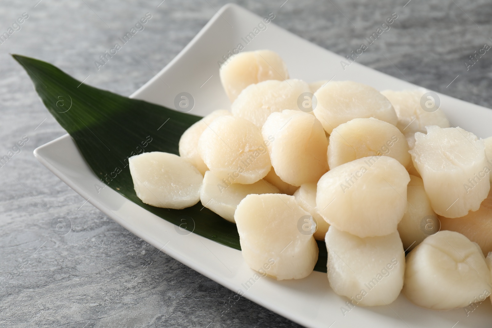 Photo of Fresh raw scallops on grey table, closeup