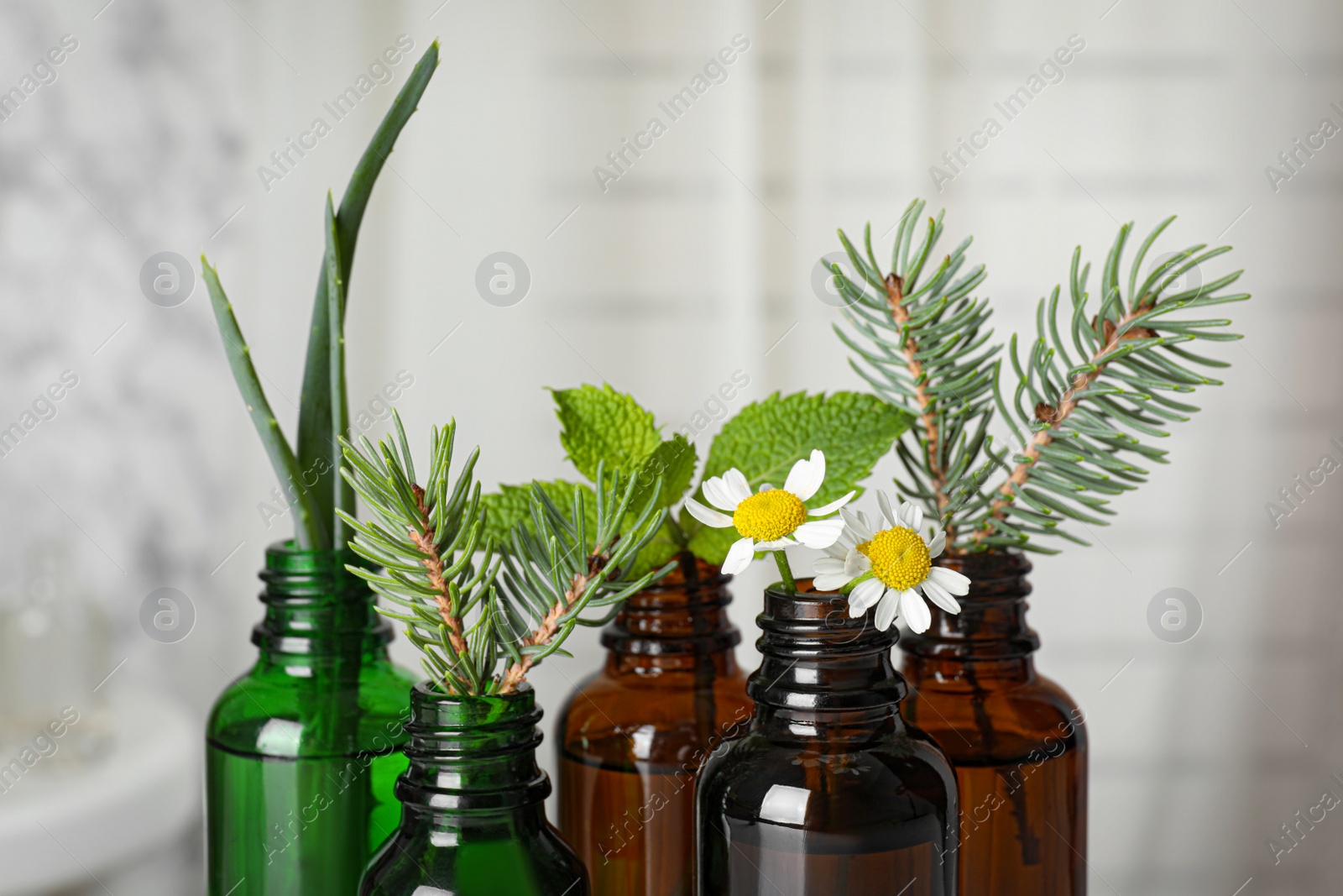 Photo of Glass bottles of different essential oils with plants against blurred background, closeup