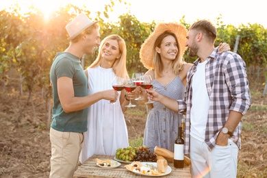 Friends tasting wine and having fun on vineyard picnic