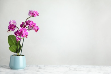 Photo of Beautiful tropical orchid flower in pot on marble table against light background. Space for text