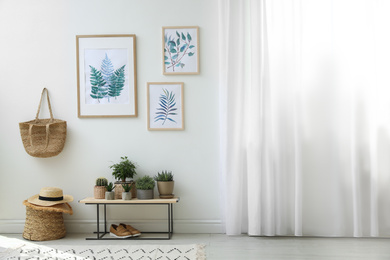 Photo of Beautiful paintings and plants at home. Idea for interior design