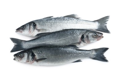 Photo of Fresh sea bass fish on white background, top view