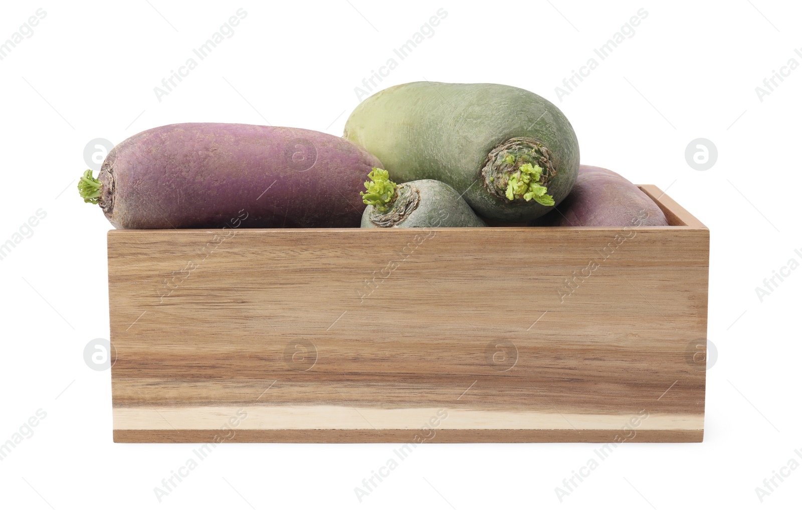 Photo of Purple and green daikon radishes in wooden crate isolated on white