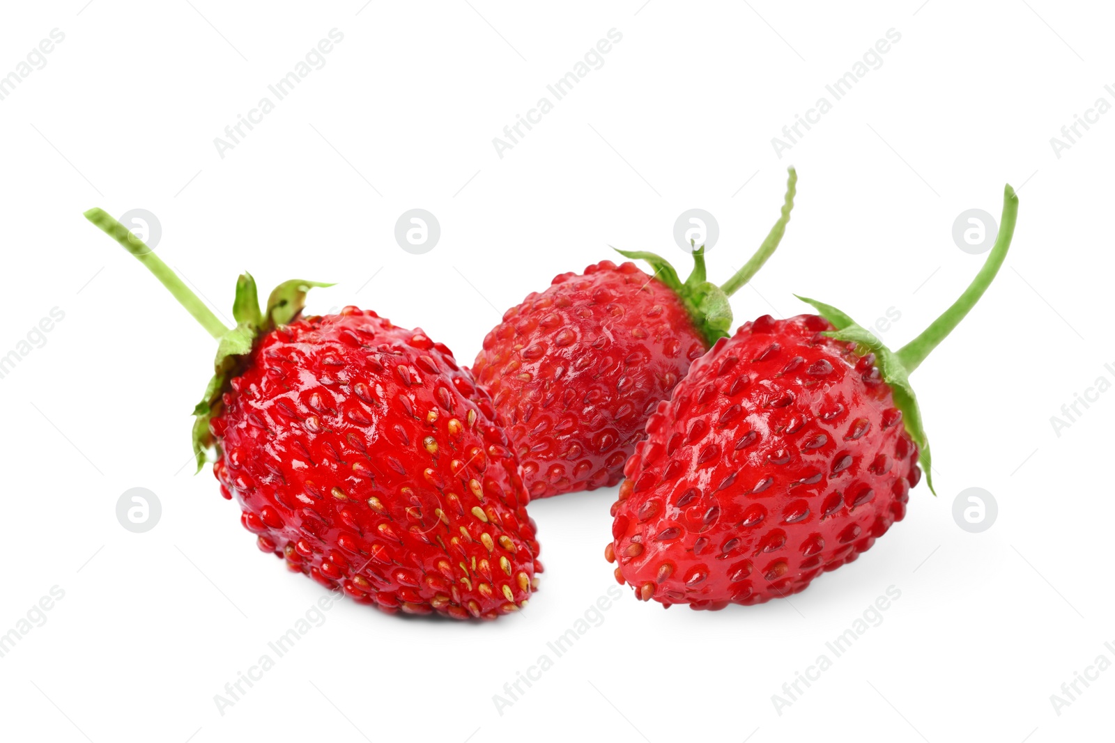 Image of Fresh ripe wild strawberries isolated on white