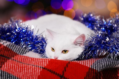 Photo of Adorable cat with Christmas tinsel lying on blanket against blurred lights