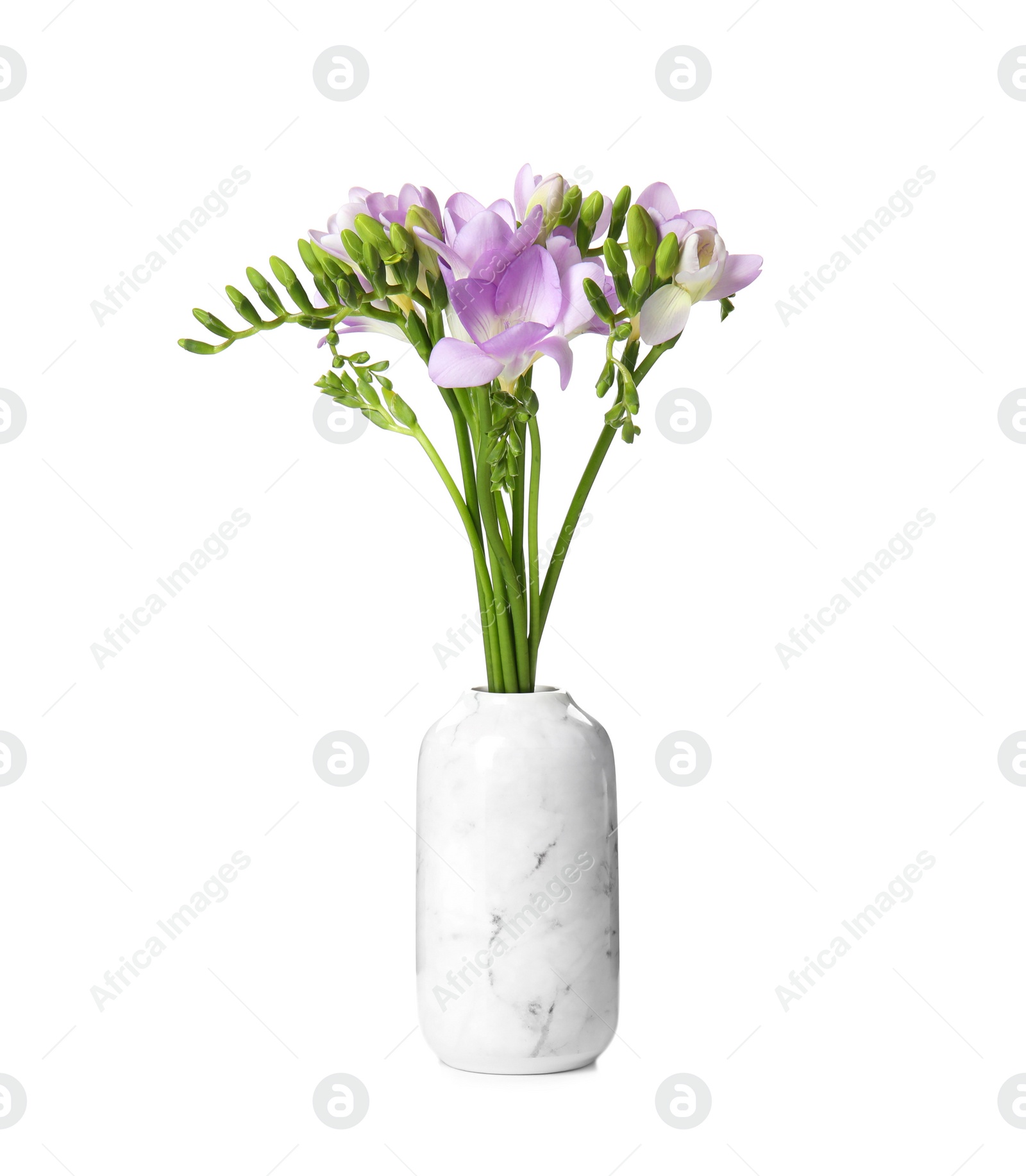 Photo of Bouquet of fresh freesia flowers in vase isolated on white