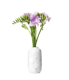 Bouquet of fresh freesia flowers in vase isolated on white