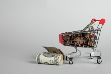 Small metal shopping cart with money on light background, space for text
