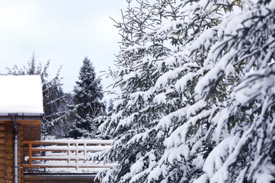 Photo of Wooden bridge and fir trees covered with snow on winter day
