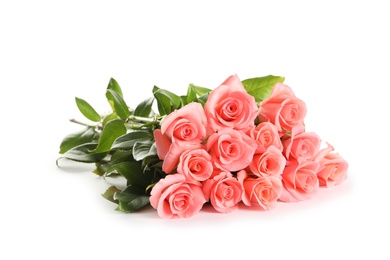 Bouquet of beautiful roses on white background