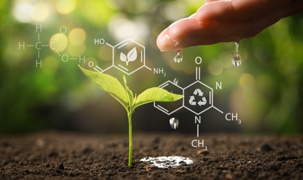 Illustration of chemical formulas and woman pouring water on young seedling in soil against blurred background, closeup