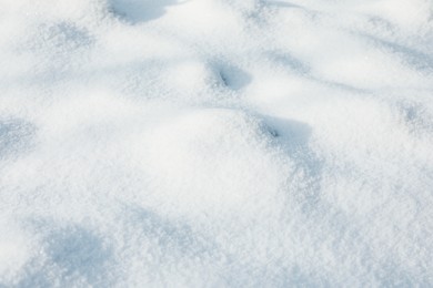 Beautiful snow as background, closeup view. Winter weather