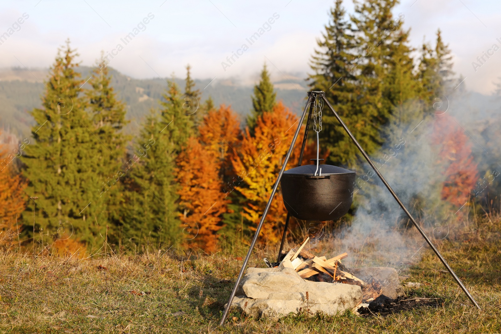 Photo of Cooking food on campfire near forest. Camping season