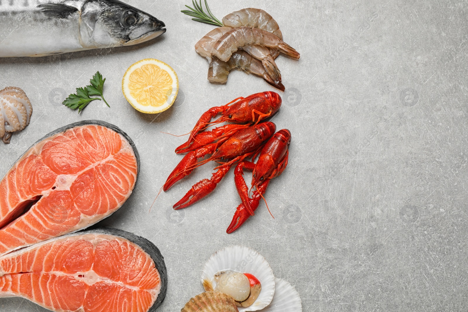 Photo of Fresh fish and seafood on light grey table, flat lay