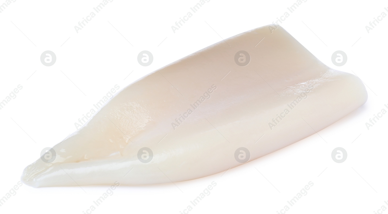 Photo of Raw squid tube isolated on white. Fresh seafood