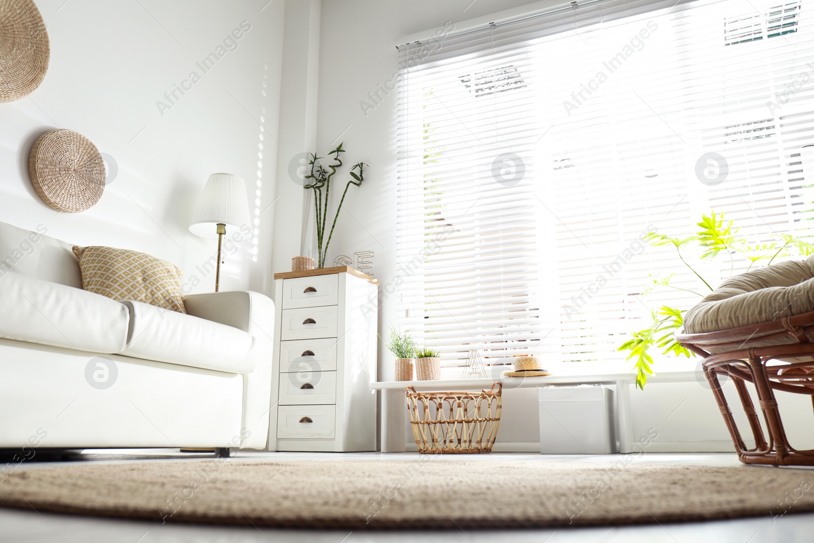 Photo of Beautiful tropical plants with green leaves in stylish living room interior, low angle view