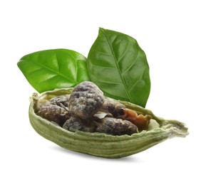 Image of Dry cardamom pod and green leaves on white background