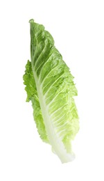 Photo of Fresh leaf of green romaine lettuce isolated on white