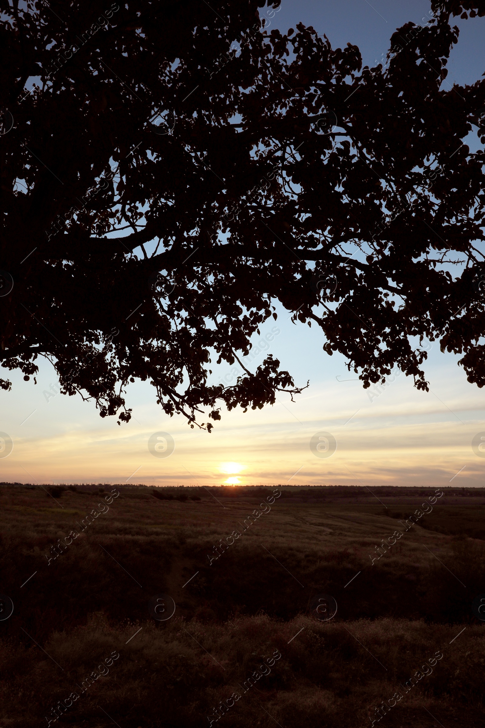 Photo of Picturesque view of beautiful countryside sunrise. Early morning landscape