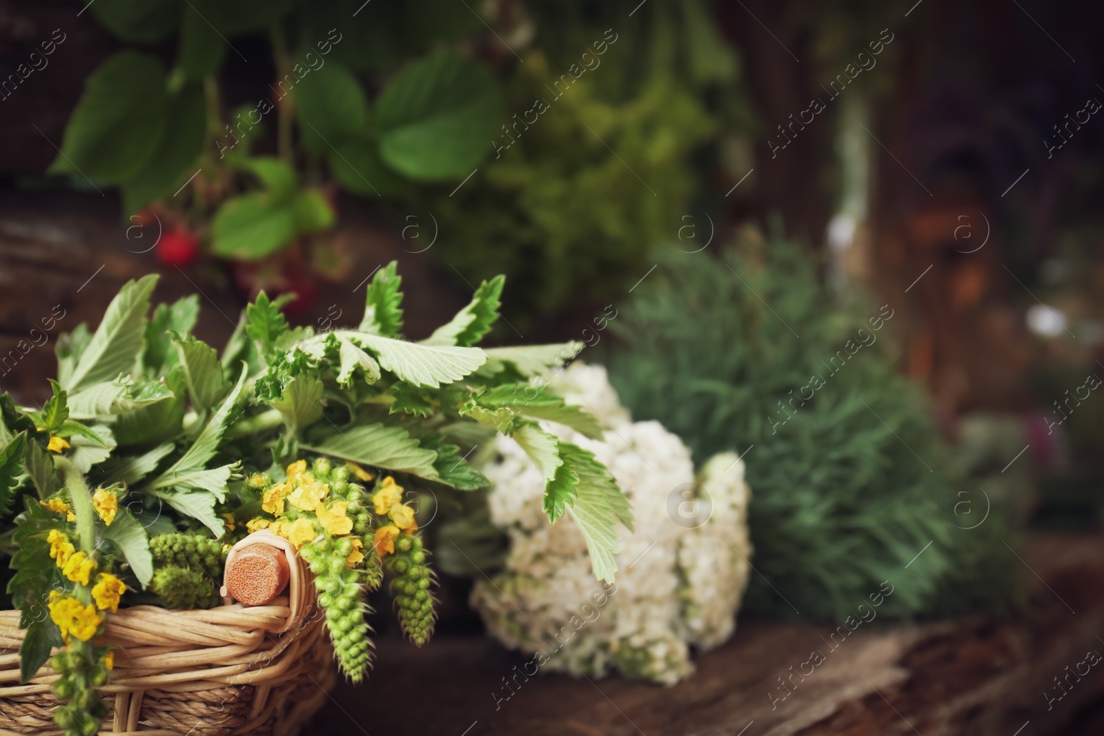 Photo of Bunches of different beautiful dried flowers on wooden table, closeup