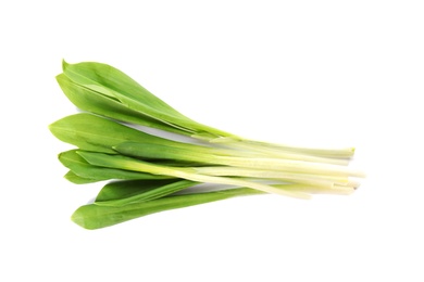 Photo of Fresh wild garlic or ramson isolated on white