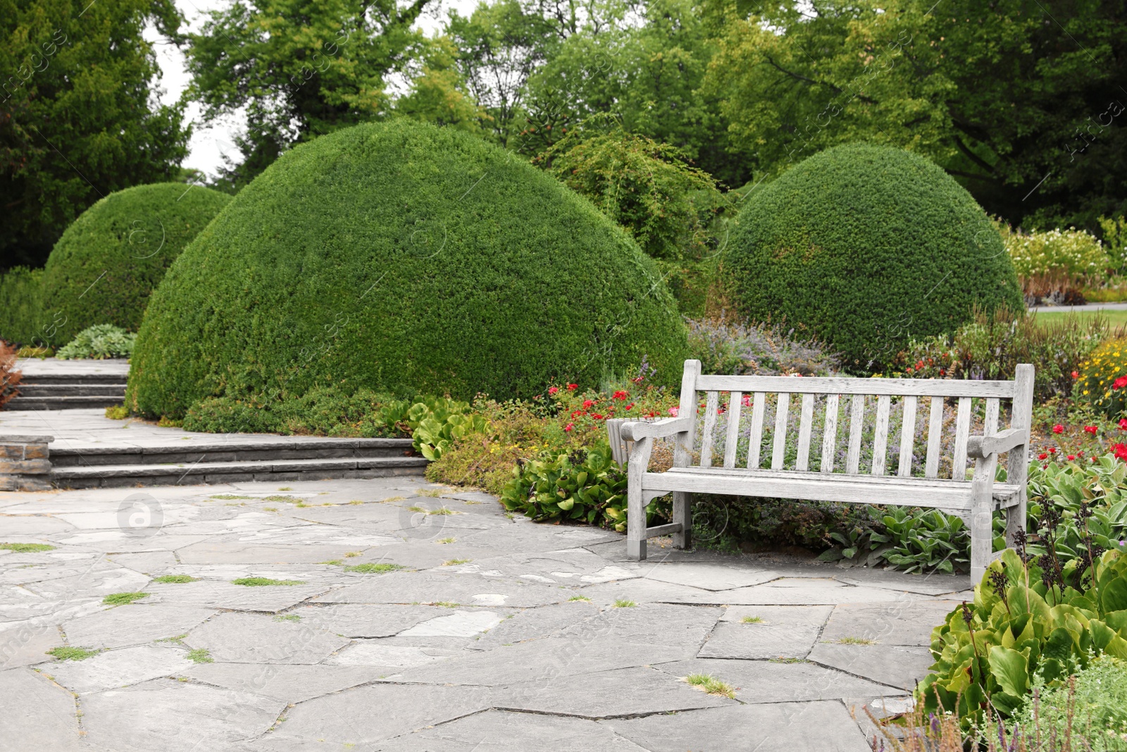 Photo of Stylish wooden bench in beautiful garden on sunny day