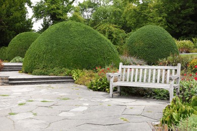 Photo of Stylish wooden bench in beautiful garden on sunny day