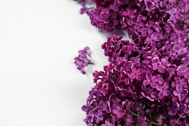 Photo of Beautiful lilac flowers on white background. Space for text