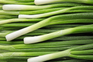 Photo of Fresh green onion as background